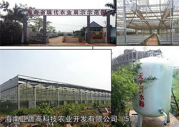 海南亞蔬高科技農(nóng)業(yè)開發(fā)有限公司（5TX1）