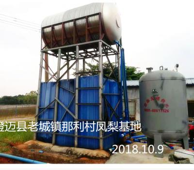 澄邁縣老城鎮(zhèn)那利村鳳梨基地