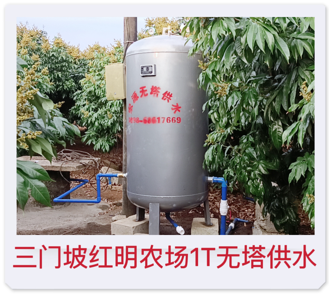 2023.3.16 三門坡紅明農(nóng)場(chǎng)1T無塔供水