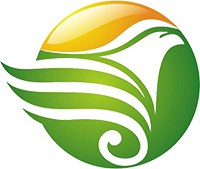 一伙人網(wǎng)絡(luò)